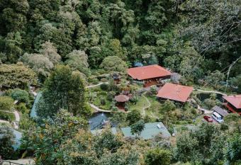 Trogon Lodge has Balcony rooms