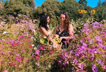 The Land - Luxury Retreat Center In Beautiful Nature - Bay Area Northern California has Balcony rooms