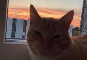 Cozy room allows 18 year olds to book a room