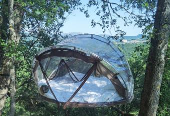 Zo  li  res allows 18 year olds to book a room