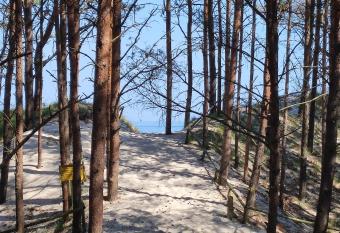 Mieszkanie Mrze  yno/Rogowo has Balcony rooms