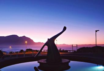 Apartment at Hermanus Waterfront allows 18 year olds to book a room