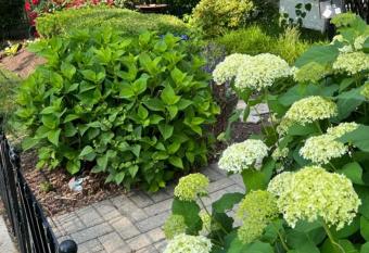 Cosmopolitan Suburban Chic - Close to City has Balcony rooms