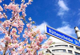 R   Business Apartments & Suites allows 18 year olds to book a room