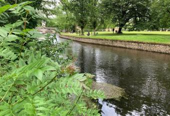 Maisonnette cosy    Brant  me. Jardinet sur rivi  re allows 18 year olds to book a room