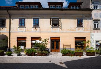 Art House Radovljica allows 18 year olds to book a room