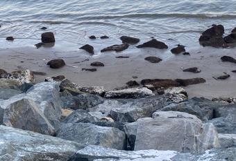 Address Residences Fujairah has Balcony rooms