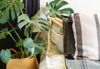 StayLagom has Balcony rooms