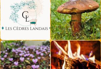 Les C  dres Landais, belle maison has Balcony rooms