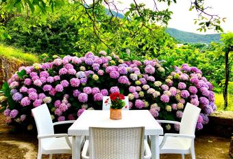 Il Ciliegio has Balcony rooms