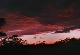 Whispering Wallaby Cottage has Balcony rooms