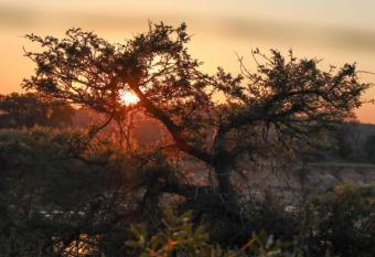 Wild Rose River Lodge has Balcony rooms