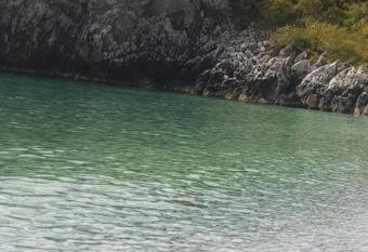 Kokkala Guestrooms allows 18 year olds to book a room