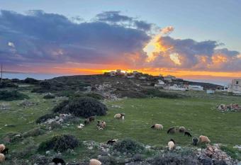 The Way Guesthouse has Balcony rooms