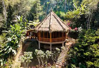 Bali Jungle retreat allows 18 year olds to book a room