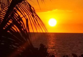 Blue Dolphin Guest House has Balcony rooms