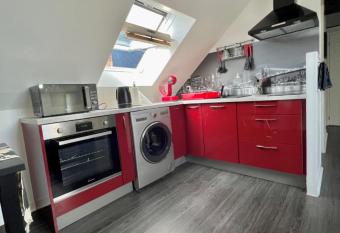 Bel appartement lumineux 35m2, Bord De Loire allows 18 year olds to book a room