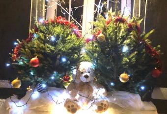 La Cigogne dor  e Gite de charme 4   toiles allows 18 year olds to book a room