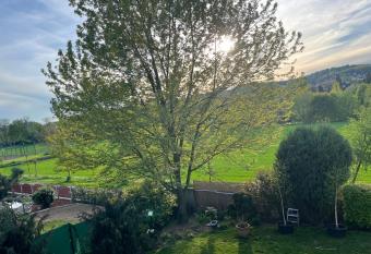 Apartm  n s wellness slu  bami allows 18 year olds to book a room