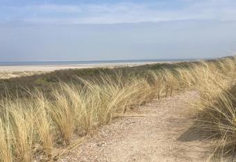 Silver Lotus 1 has Balcony rooms