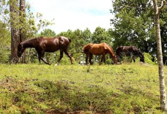 Casa Misterio Verde has Balcony rooms