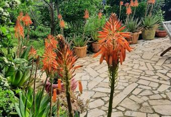 App casa neron has Balcony rooms