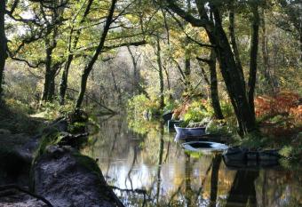 Villa de l Etang Blanc allows 18 year olds to book a room