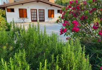 Sweet Apartment Studios Olive and Grape has Balcony rooms