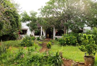 Private Rustic Seaside Cottage enveloped in forest has Balcony rooms