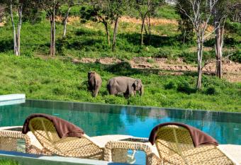 Wild Cottages Elephant Sanctuary Resort allows 18 year olds to book a room