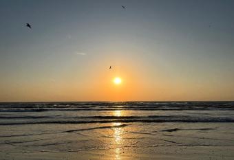 Excelsior apartaments 2 mamaia nord allows 18 year olds to book a room