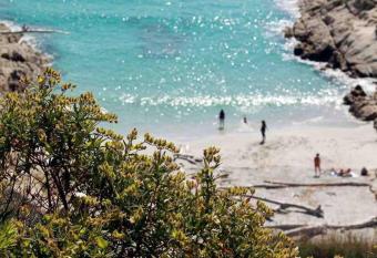 Studio boh  me avec jardinet sans vis    vis allows 18 year olds to book a room