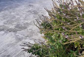 VIDOU VACANCES allows 18 year olds to book a room