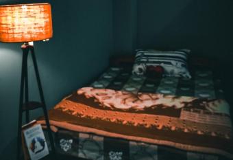 Nimchung bhutia residence has Balcony rooms