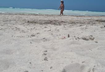 Casa indipendente has Balcony rooms