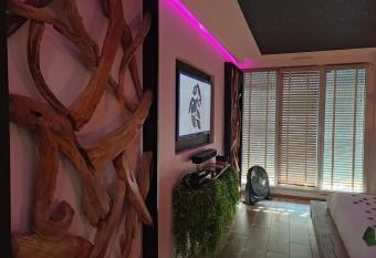 Cocon d Evasion**** SPA PRIVATIF et ciels   toil  s allows 18 year olds to book a room