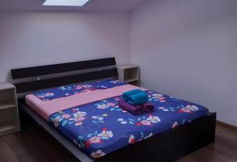Attic 1BR apartment with parking and self check in has Balcony rooms