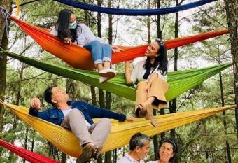 Pinus Villa by Villapedia has Balcony rooms