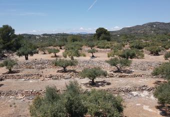 Finca El Olivar has Balcony rooms