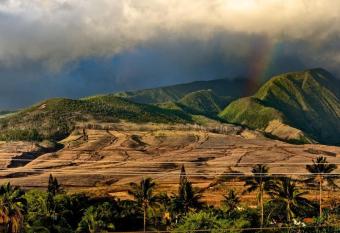 Lahaina Shores Studio allows 18 year olds to book a room