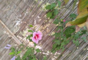 Sol y playa allows 18 year olds to book a room