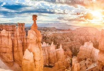 Supreme Cabin - One King Bed allows 18 year olds to book a room