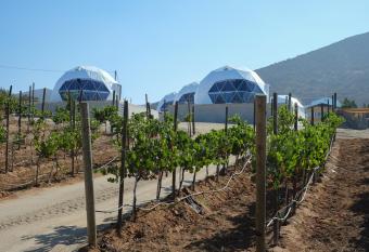 Cupulas Del Valle by Villa De La Rosa allows 18 year olds to book a room