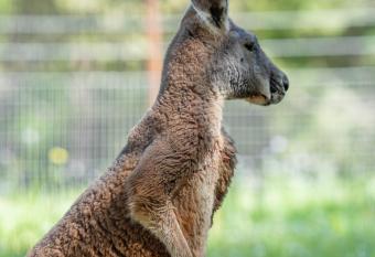 Texas Unplugged has Balcony rooms