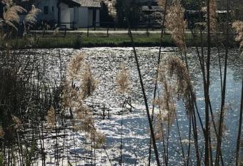 Campagne Camarguaise allows 18 year olds to book a room