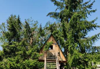 Get your zen among the trees has Balcony rooms