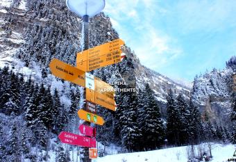 Alpina Appartment 2 has Balcony rooms