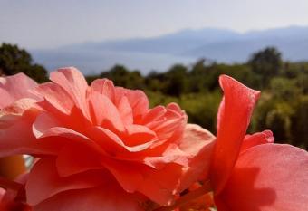 Magic Eden Rijeka has rooms with a private hot tub