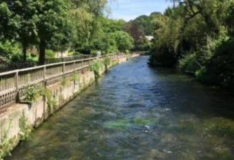 Millstream House has Balcony rooms
