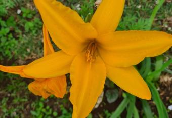 Casa jard  n has Balcony rooms